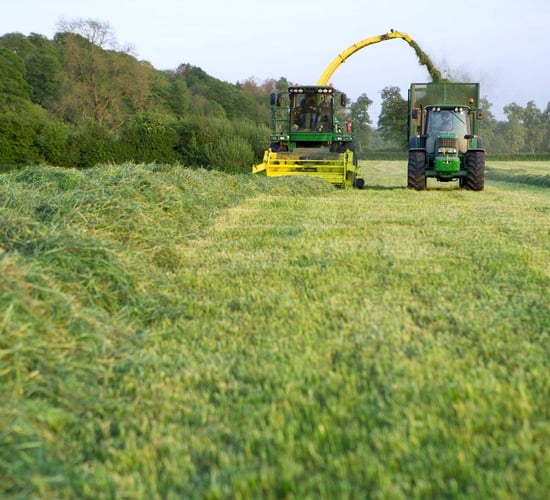 ICMSA calls for a fodder support scheme for 'all farmers'