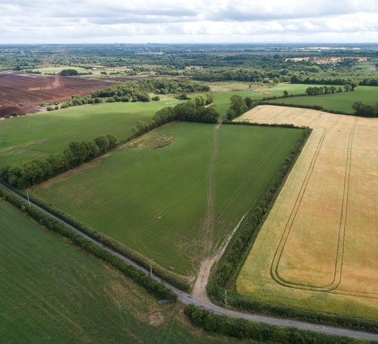 44.08ac of 'well maintained quality dry grazing land' for auction