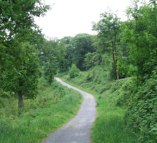 New public-private collaboration woodland fund announced