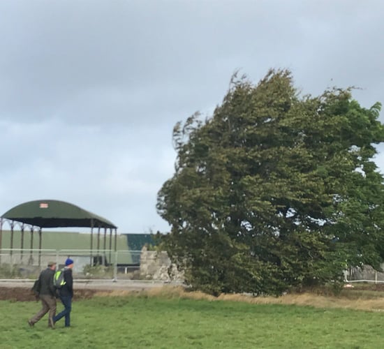 40,000 homes without power as Storm Diana sweeps the country