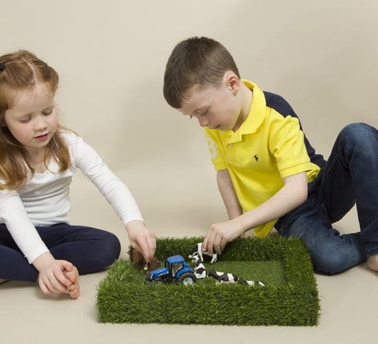Roscommon sheep farmer shows 'the field' is child's play