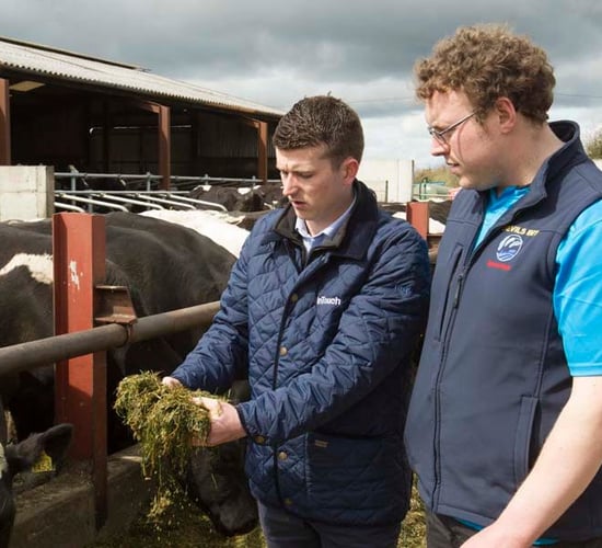 Alltech to host one-to-one nutrition clinics at 'Ploughing 2018'