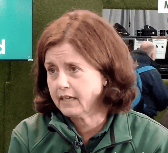 FBD CEO Fiona Muldoon announces resignation