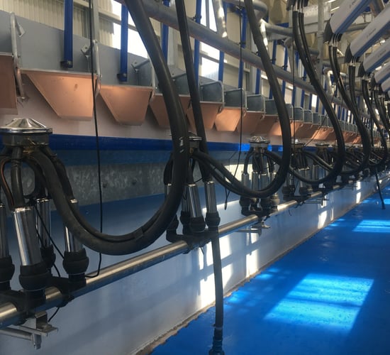 'Halved the milking time': New parlour lives up to billing in Gurteen