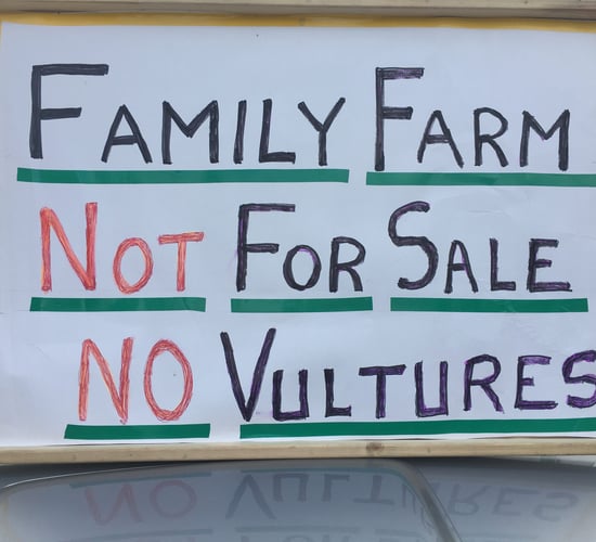 IFA: 'Vulture funds have no understanding of family farm'