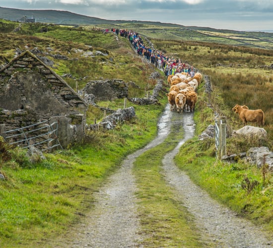 Minister 'working closely' to develop bonus structure for Burren farmers