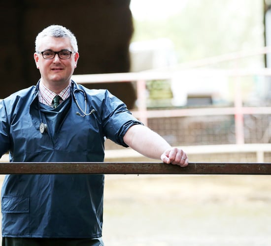 NI vet crisis looms as Brexit deadline advances
