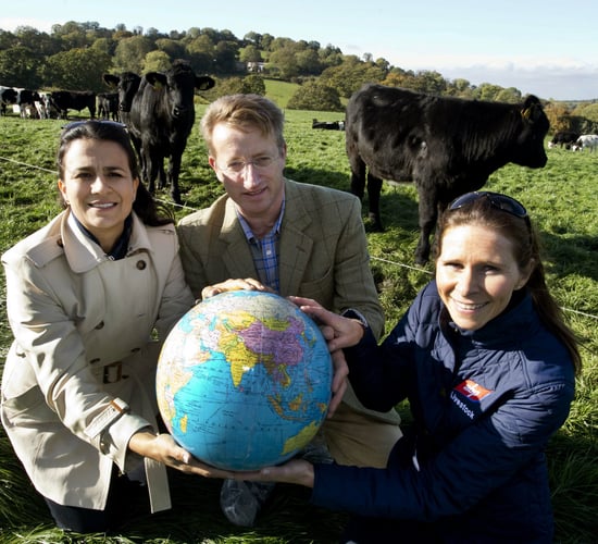 ABP trials indicate potential for beef carbon reduction