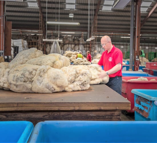 Ulster wool prices expected to be up 10p/kg on 2017