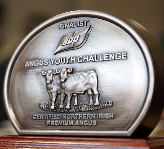 Teens to compete in ABP Angus Young Challenge semi-final