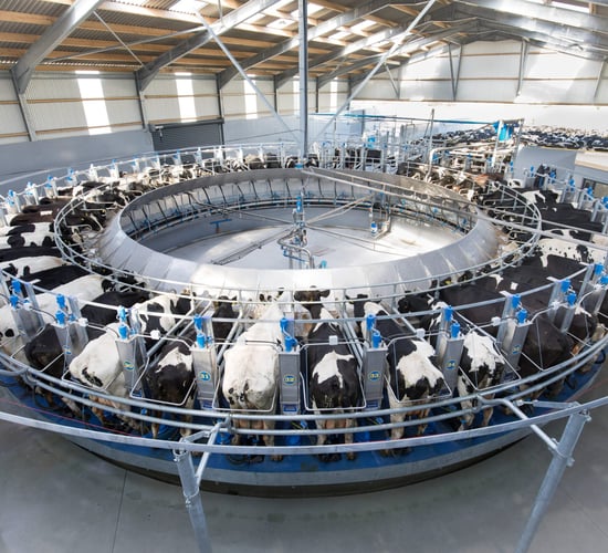 US milk production climbs by 1.5% in September