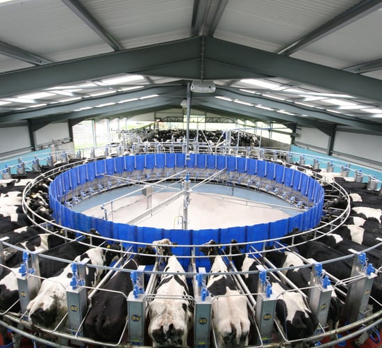Glanbia: 'Conflicting dynamics' playing out in dairy markets