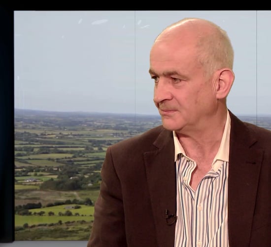 'IFA needs structure to help farmers - not protect staff'