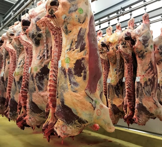 Covid-19: Number of meat plant clusters rises to 12...with 12 workers hospitalised