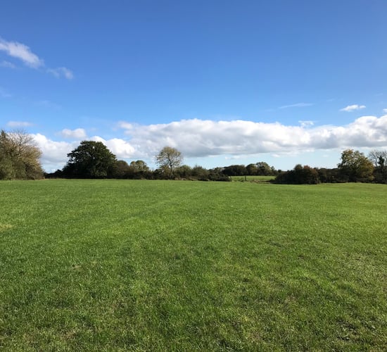 68ac non-residential holding in Tomsilla, Gorey