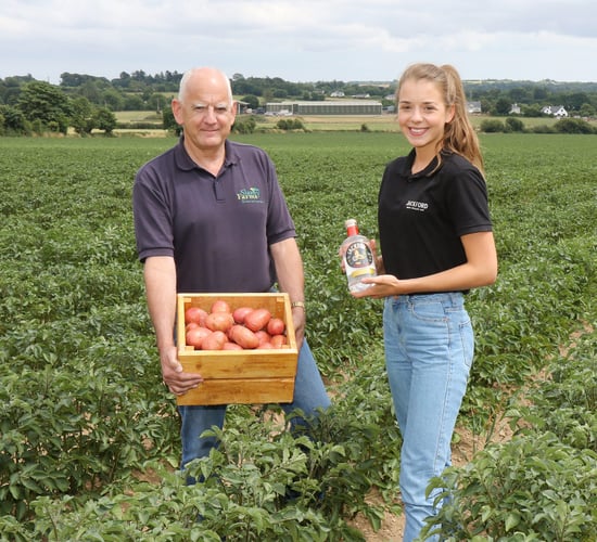 Potato grower diversifies into prize-winning Jackford gin