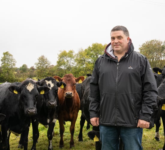 Contract rearing: 'It puts certainty around your bills each month'