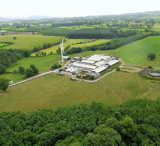 'Prime location' for 1,000-sow, fully integrated pig unit in Co. Waterford