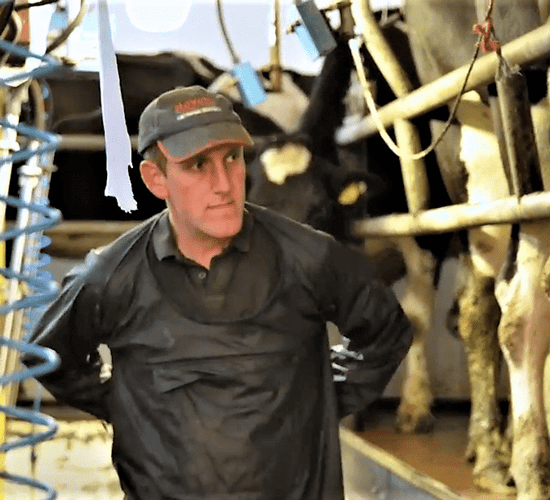 Using technology to tackle herd cell count on a Co. Longford farm