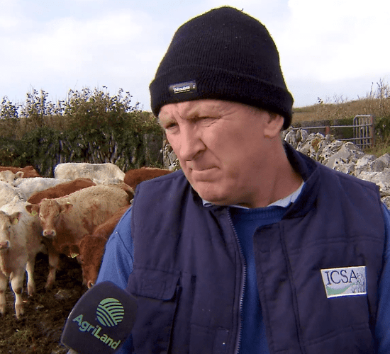 TB troubles: 'It seems to go in waves'