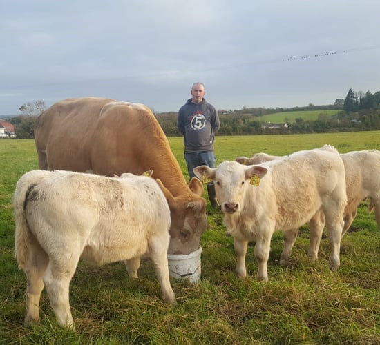 3:00am triplets: Rossie farmer recounts Charolais surprise