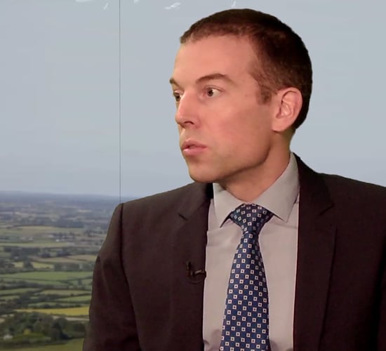 'No evidence of link between wild deer and spread of TB' - chief vet