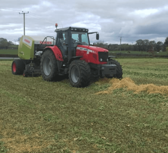 Video: Newfangled system of baling two forages into one