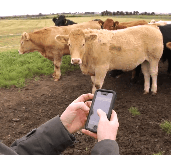 FARM SMART: How farmers can make their lives easier through technology