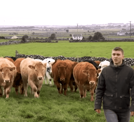 FARM SMART: Why this beef farmer invested in new winter housing and technology