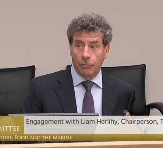 'We live in a digital era': Herlihy highlights agri education concerns