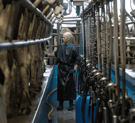 Attention to detail central to quality milk production in Co. Tipperary