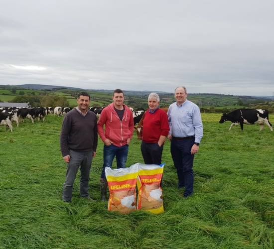 Pre-calving mineral driving vigorous calves from birth in Co. Waterford
