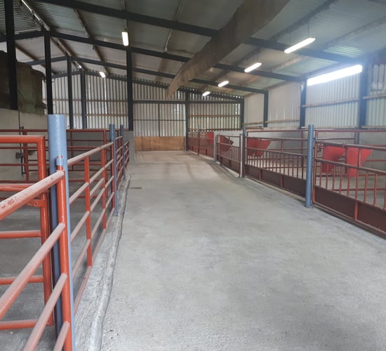 Farm transfer options to be discussed at Galway meeting