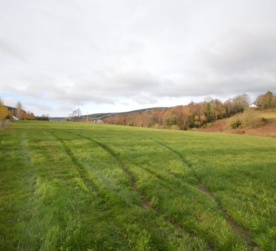 12.5ac Bunclody land suitable for array of ag enterprises