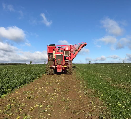 Positive reaction to beet...ambitious target set