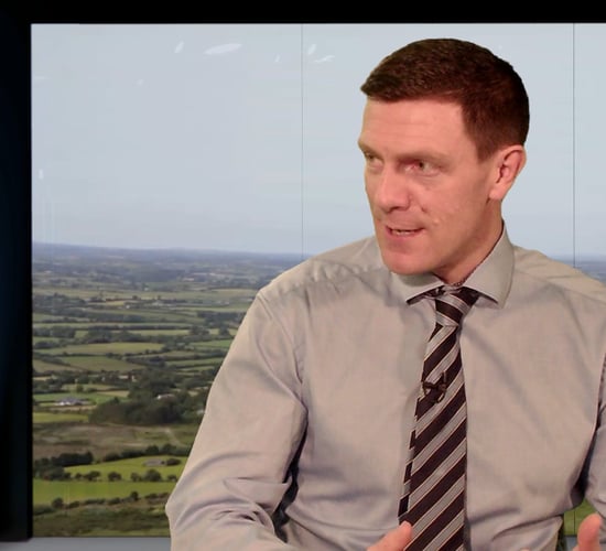 Talks continuing with Cherbourg lairage owners - Burke
