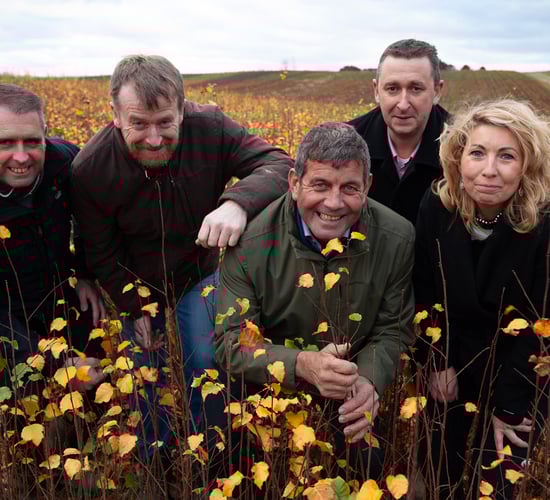 5 million broadleaf trees to be planted in Ireland this year