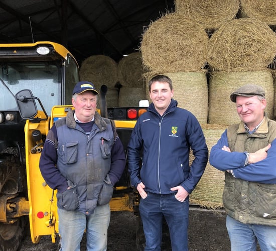 Elite Angus sale to attract €3,000 subsidy winners