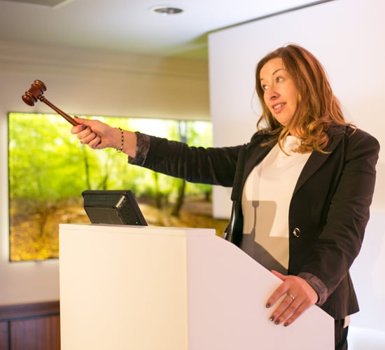 Novice auctioneers: Have you got what it takes?