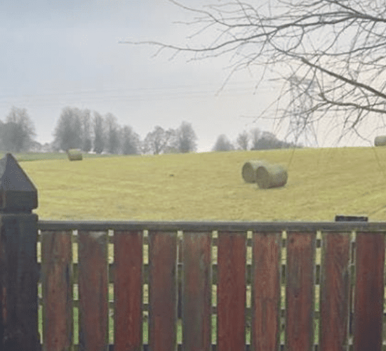 Spotted: 'Lily' farmers out baling in mid-November