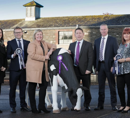 Countdown is on to this year’s Royal Ulster Winter Fair