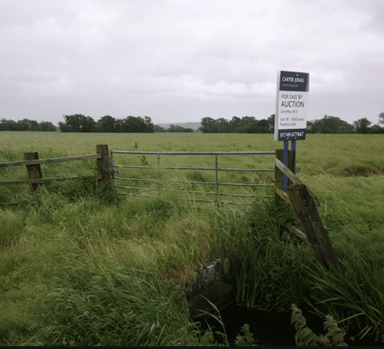 Auction firm ceases farmland sale ahead of farmer protest