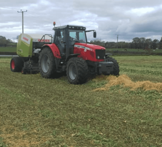 Thinking of baling forage crops? Here are some tips