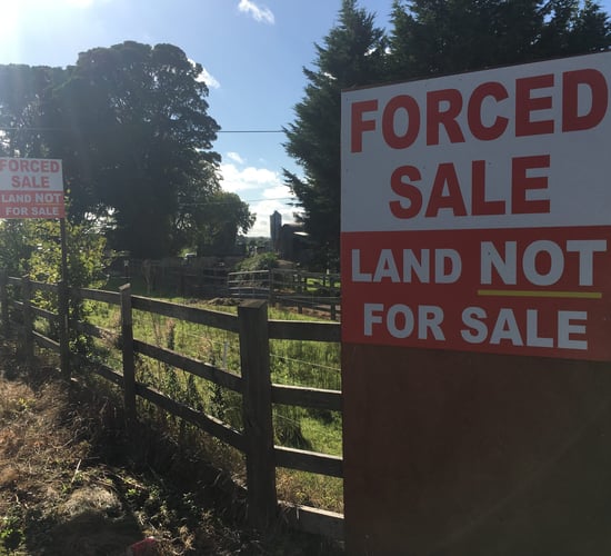 Fine print in new law bill labelled 'boon to vulture funds' - Kenny
