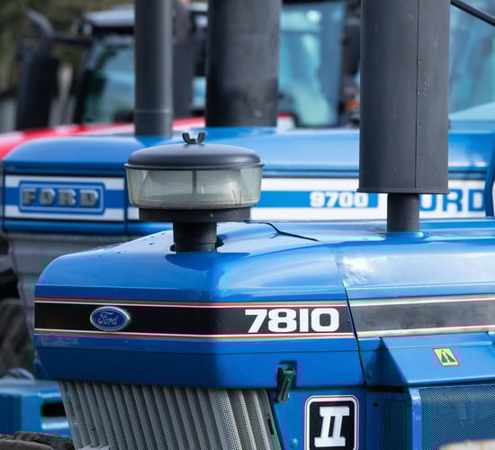 Auction report: On-farm sale sees ‘blues’ and ‘reds’ up for grabs