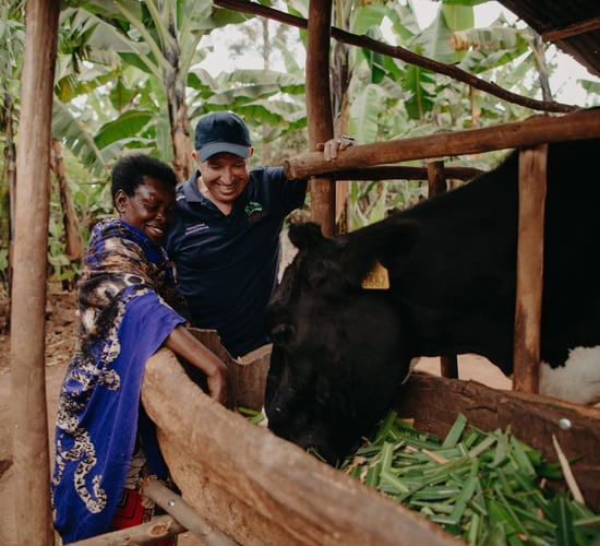 'The Bothar cow gave hope, income and security'