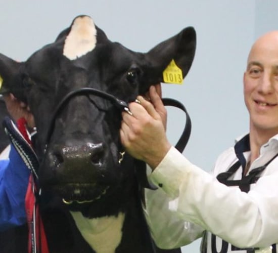 Co. Dublin breeder wins Royal Ulster Winter Fair Inter-Breed Championship