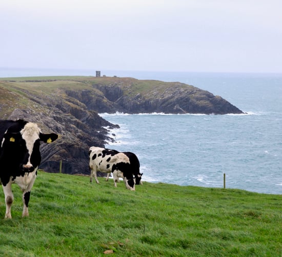 2050 targets: Agriculture needs to improve 'environmentally and commercially'