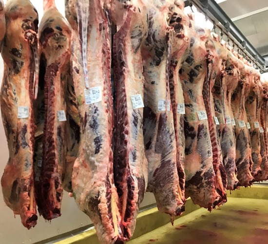 CCTV to be made mandatory for Scottish meat plants