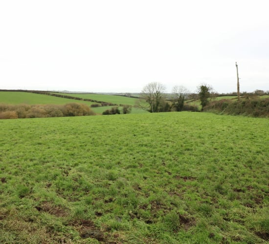 Agricultural land provides 40ac and winter accommodation for livestock